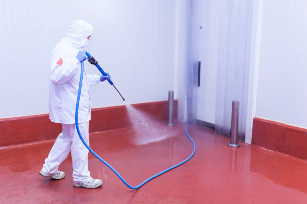 Professional Pressure Washing Services in Arcanum, OH