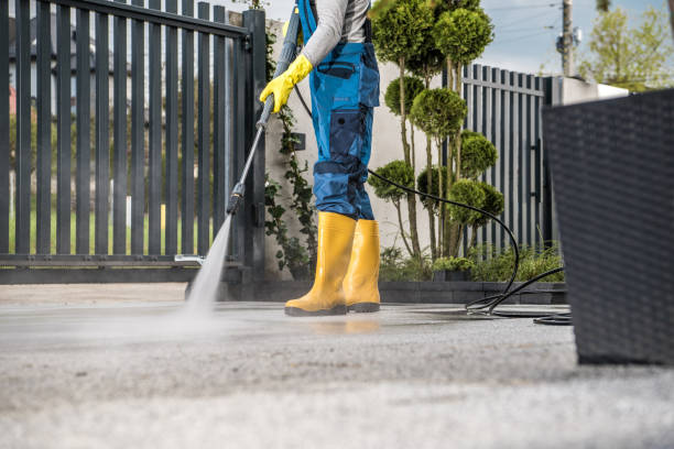 Animal Enclosure Cleaning in Arcanum, OH